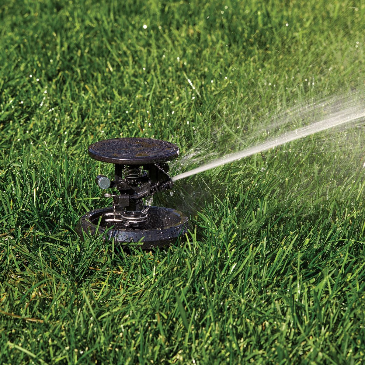 Pulse XL Pop-Up Impact Rotor Sprinkler in Canister – OrbitOnline