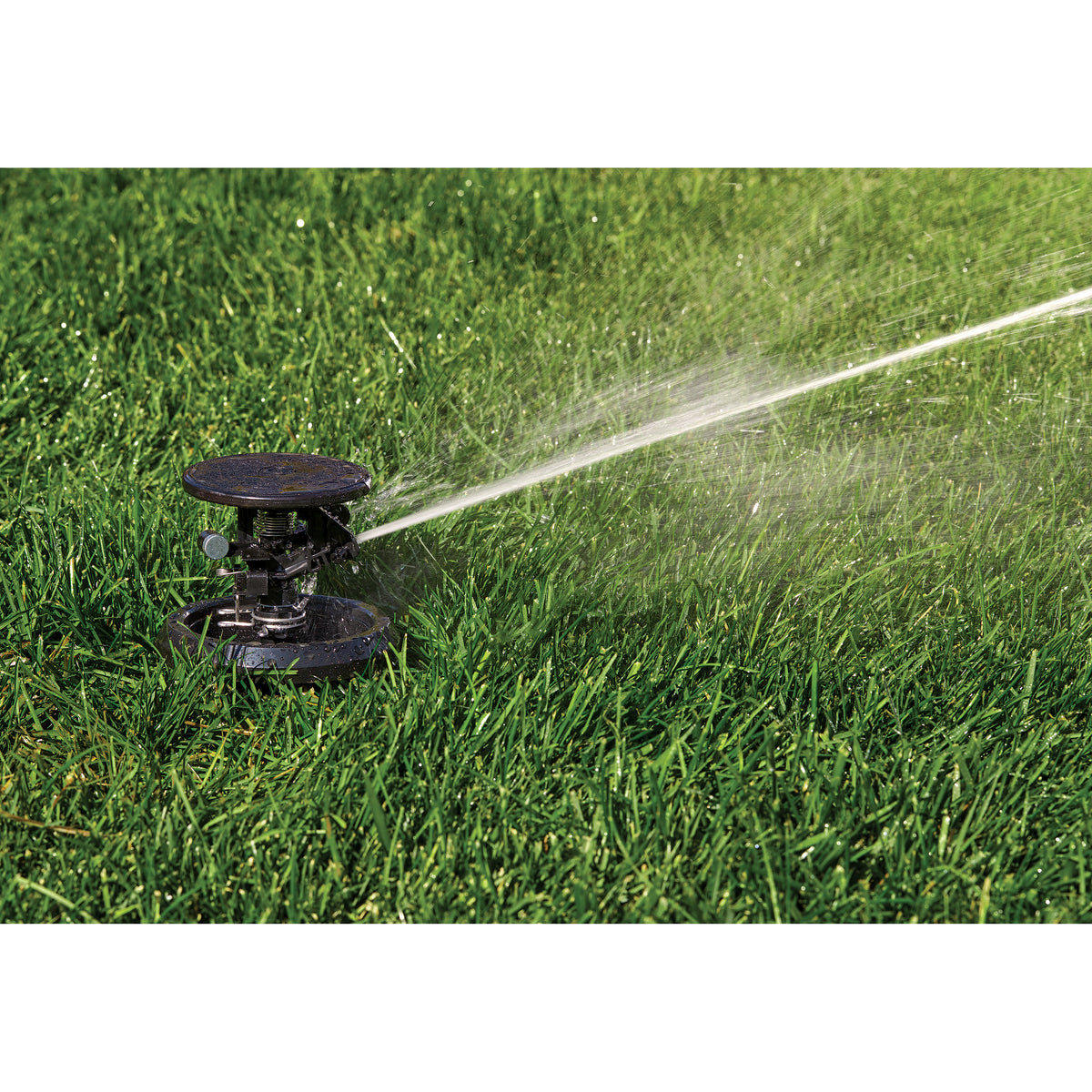Aspersor de impacto emergente Pulse XL con bote | 55201