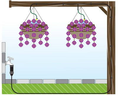 Illustration of two hanging flower baskets with a drip irrigation system connected to a hose bib.