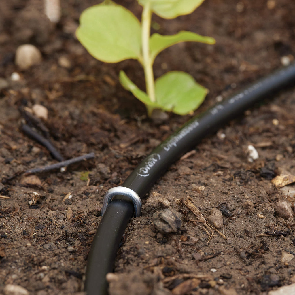 loop stake in use