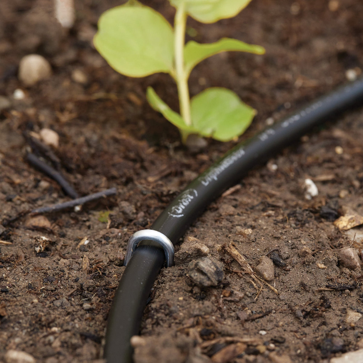 loop stake in use