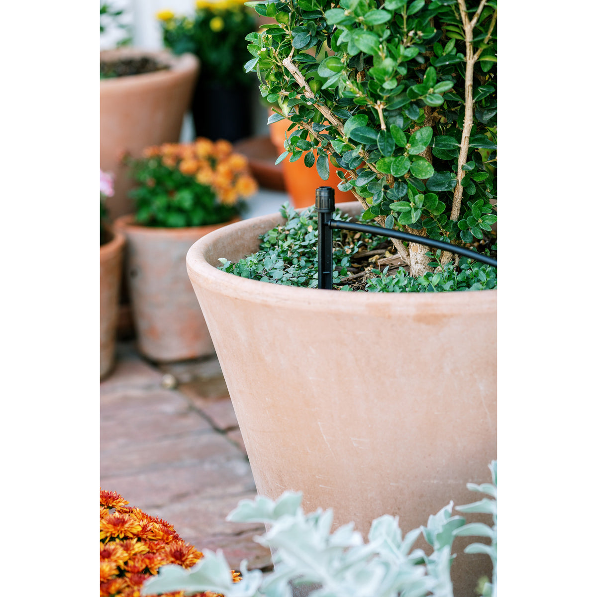 Kit para patio y plantas en maceta 67523