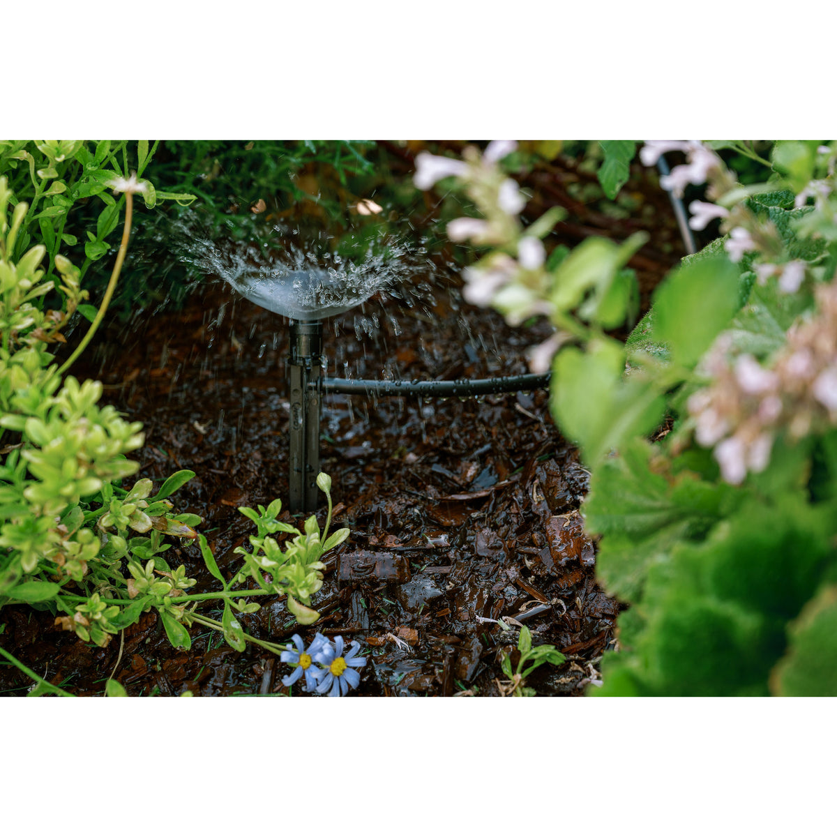 Kit para patio y plantas en maceta 67523