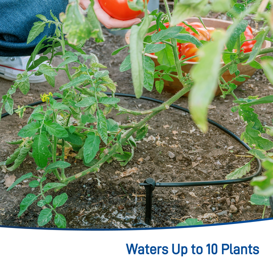 All-in-One Tomato Drip Kit