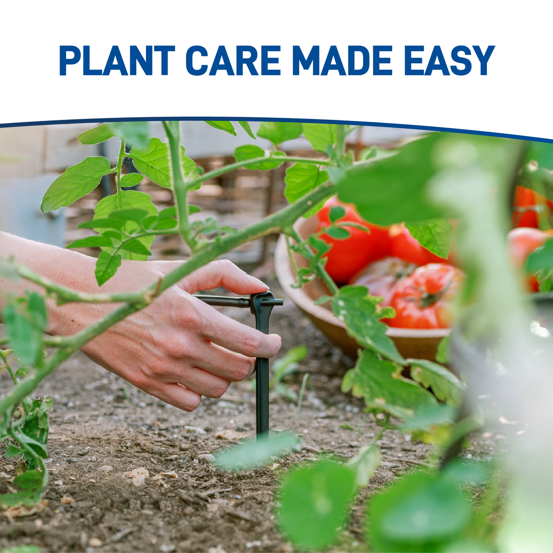 All-in-One Tomato Drip Kit