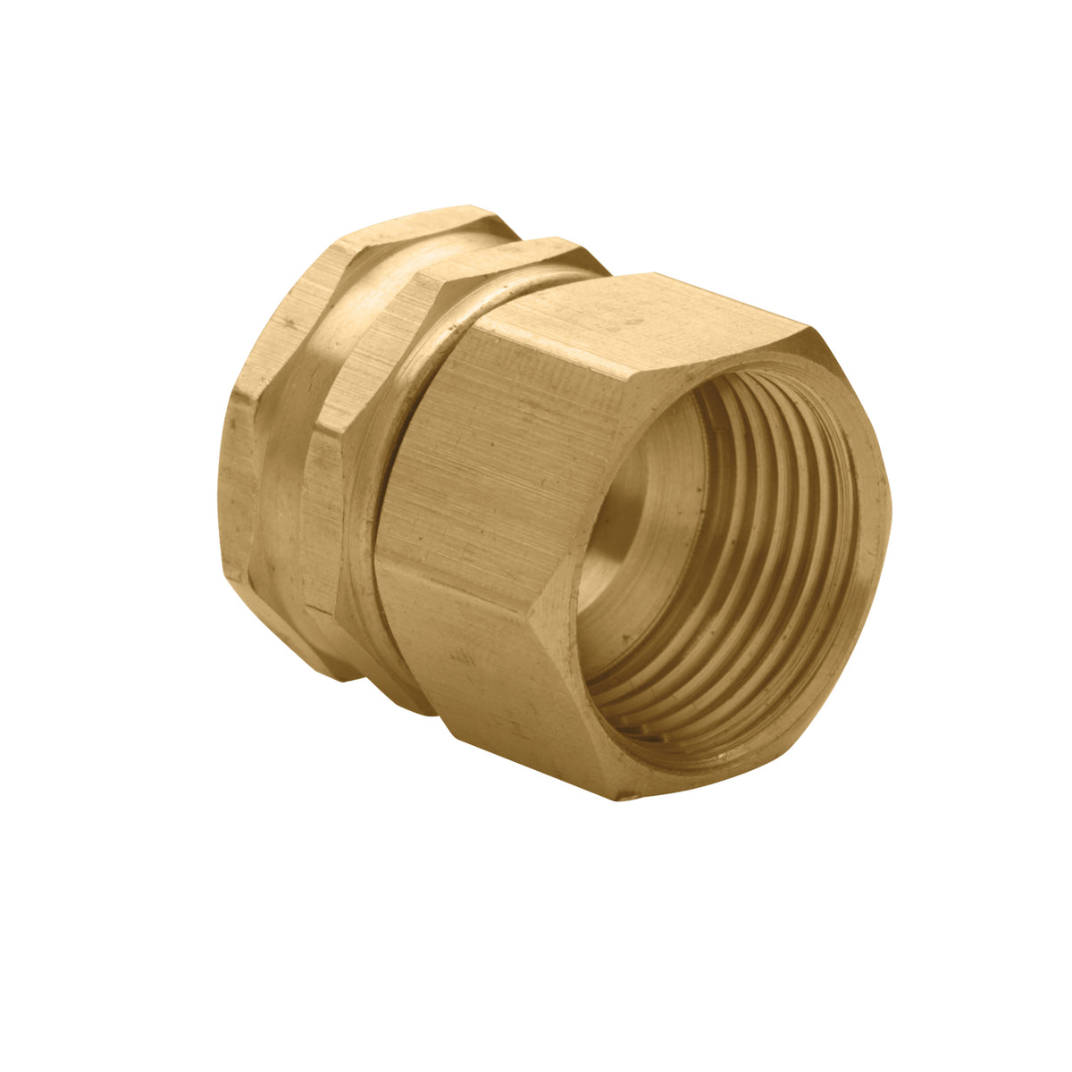 3/4" FPT x FHT Latón Giratorio 53036