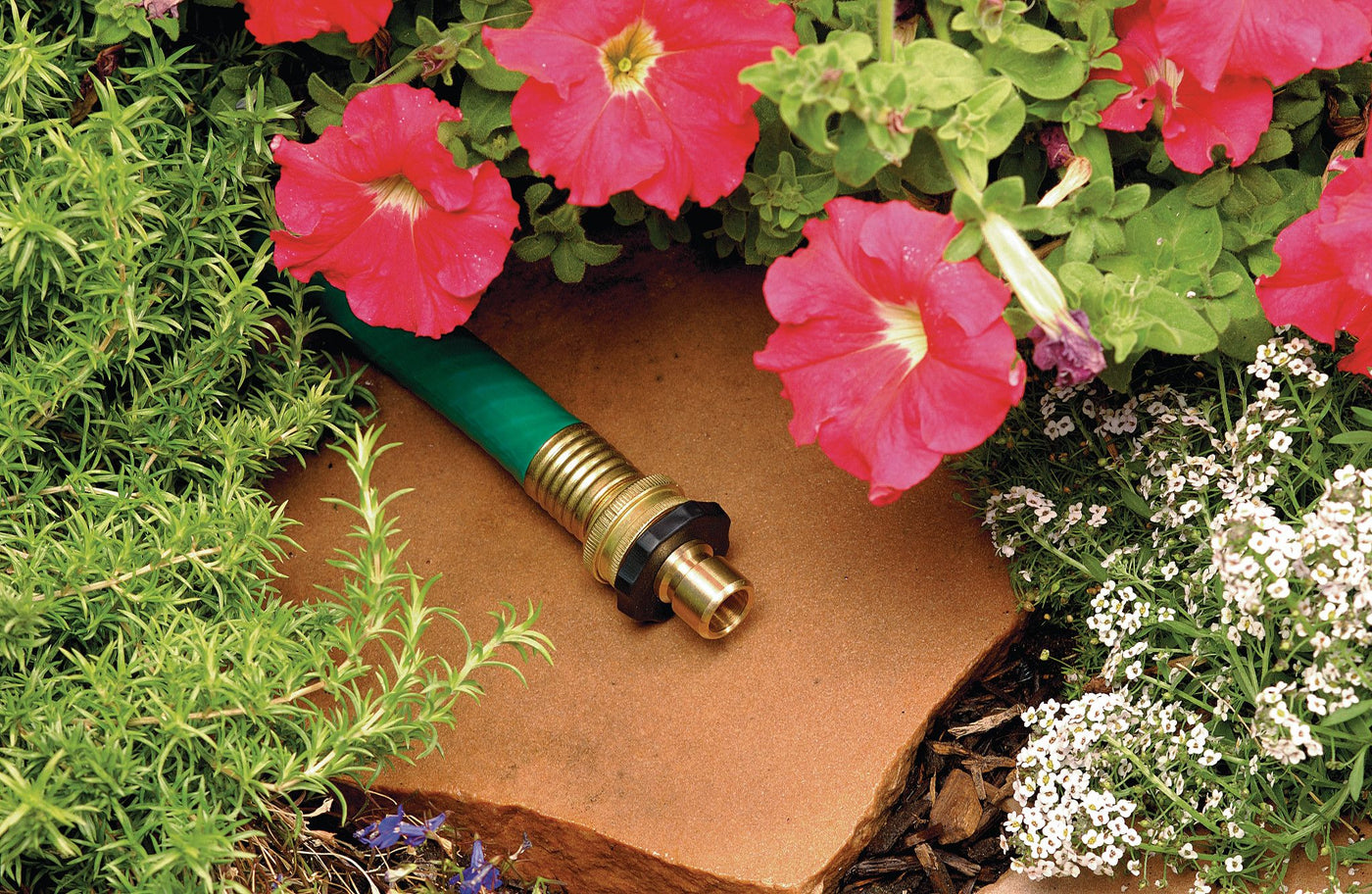 Brass male quick connect attached to the female end of a garden hose placed in a flower garden.