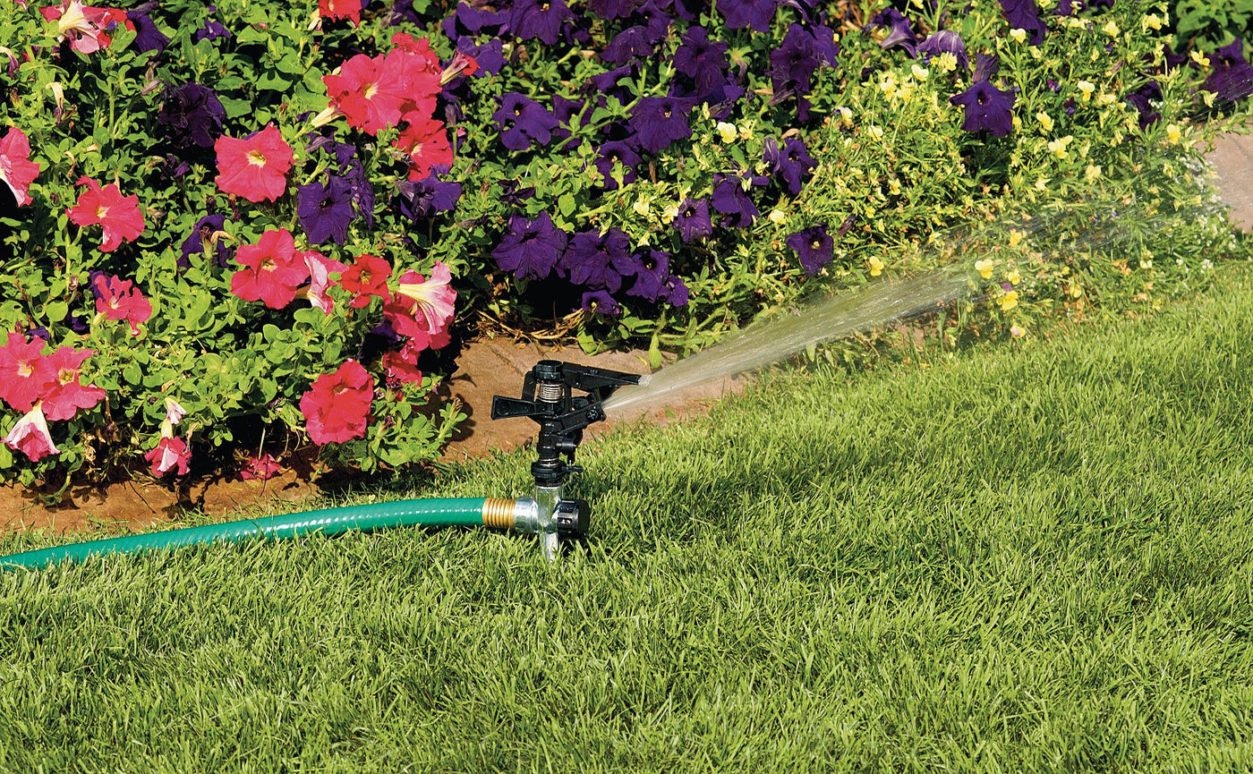 Half inch black plastic impact sprinkler on zinc spike in grass. Attached to a hose emitting a spray of water. 