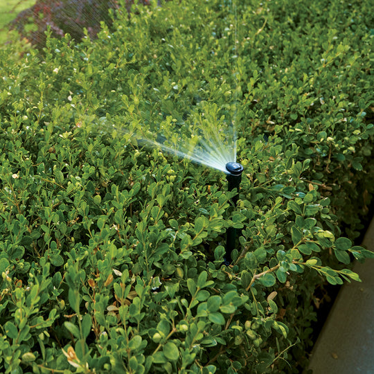 Aluminum Adjustable Shrub Risers