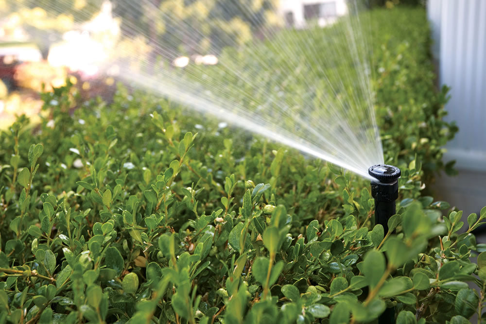 37335 - Aluminum Adjustable Pressure Reducer Shrub Riser