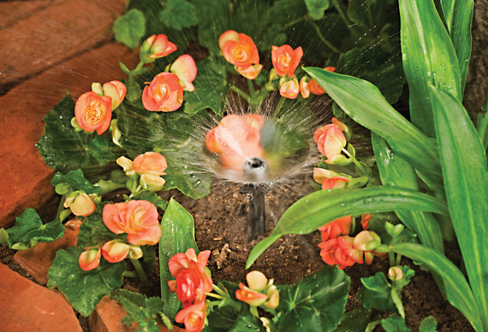 Shrub & Flower Bed Drip Kit with Timer