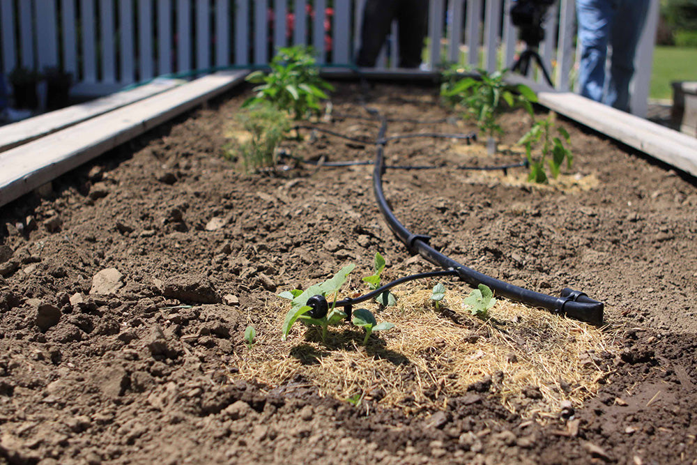 1/2-in. Universal Drip Irrigation Fittings